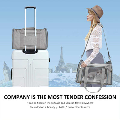 Large Cat & Dog Carrier – Soft-Sided Collapsible Travel Bag for Pets up to 25 lbs
