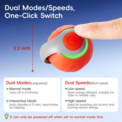 Cat Toys | 2025 Interactive Cat Toys - for Bored Indoor Adult Cats