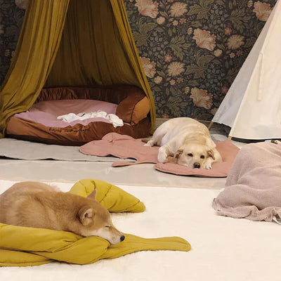 Leaf Shape Dog Blanket Mat
