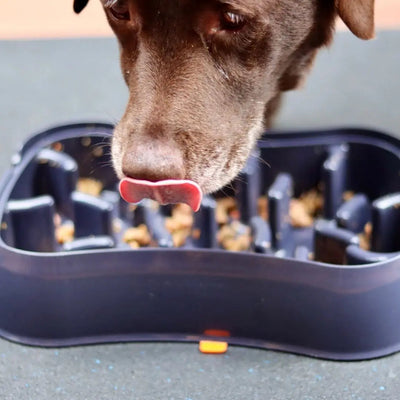 Slow Feeder Dog Bowl with Lick Mat – 4-in-1 Anti-Choke & Interactive Pet Feeder