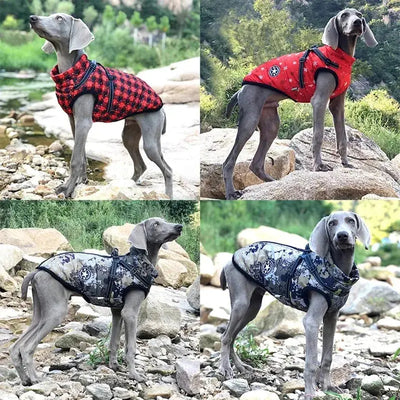Waterproof Dog Jacket – Keep Your Pup Warm & Dry This Aussie Winter