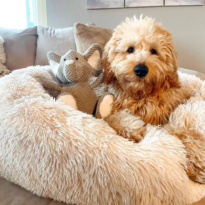 Calming Dog Bed – Plush Donut Cuddler for Dogs & Cats with Soft Faux Fur