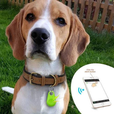 Bluetooth & GPS Pet Tracker – Smart Wireless Location Device for Dogs & Cats
