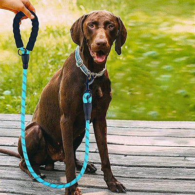 Strong Nylon Reflective Dog Leash – Heavy-Duty, Tangle-Free Pet Leash