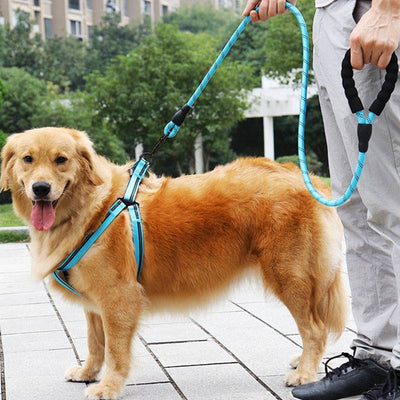 Strong Nylon Reflective Dog Leash – Heavy-Duty, Tangle-Free Pet Leash