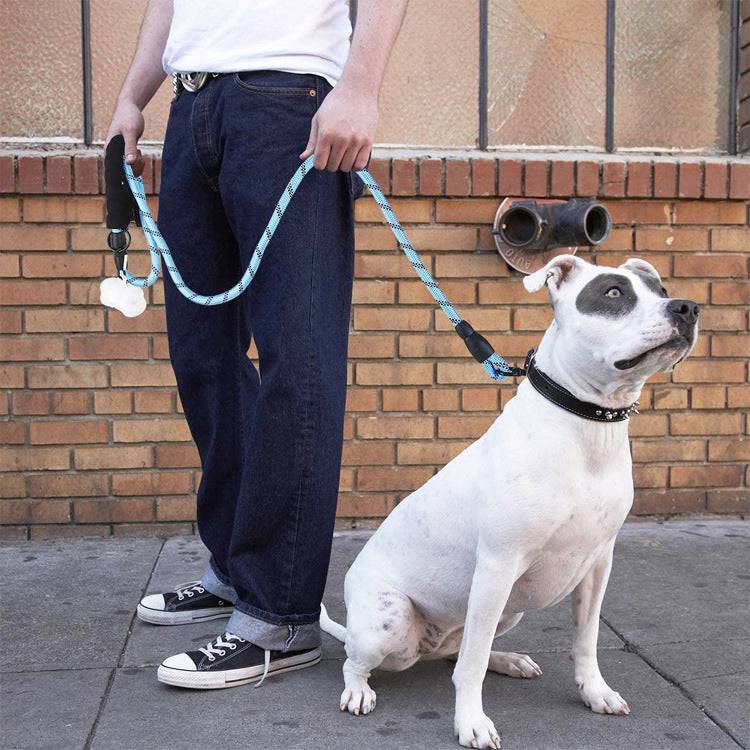 Strong Nylon Reflective Dog Leash – Heavy-Duty, Tangle-Free Pet Leash
