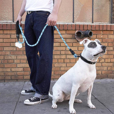 Strong Nylon Reflective Dog Leash – Heavy-Duty, Tangle-Free Pet Leash