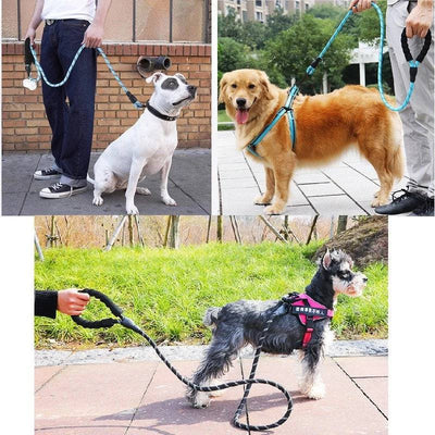 Strong Nylon Reflective Dog Leash – Heavy-Duty, Tangle-Free Pet Leash
