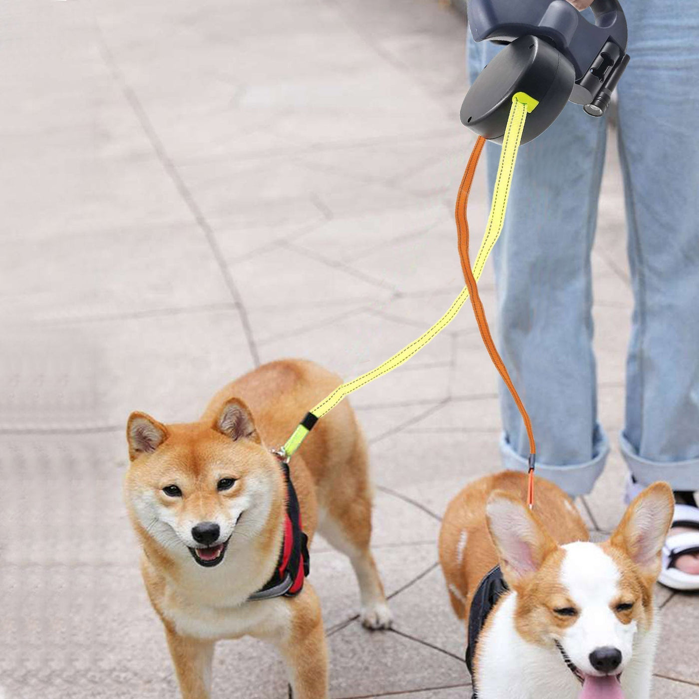 PetWorld - Double Innovative Retractable Dog Leash with Light