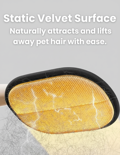 Pet Hair Removal Glove with Dual-Sided Electrostatic Bristles
