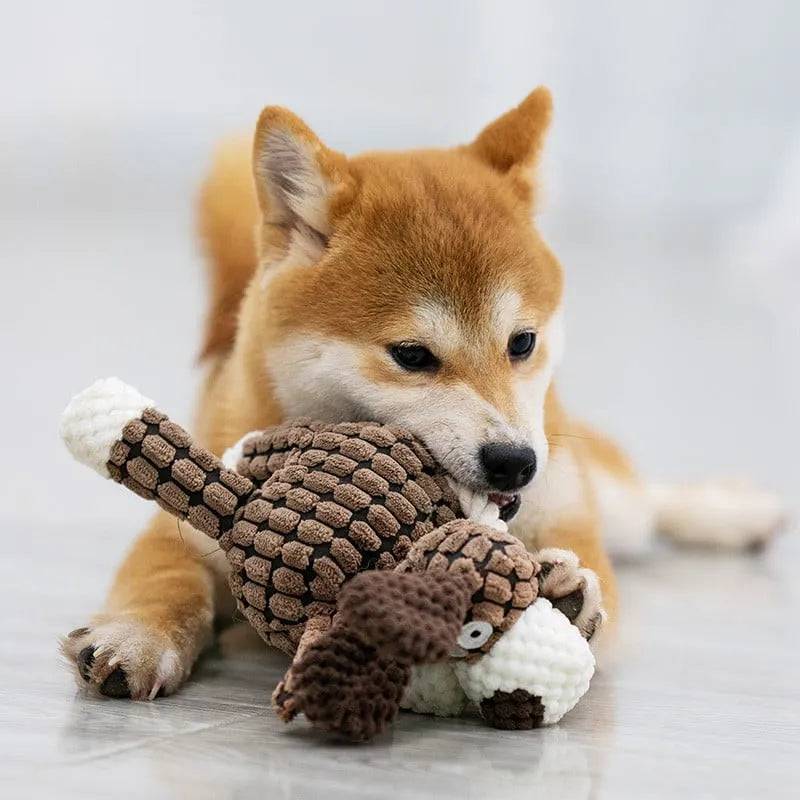 Immortal Squeaker Dog Toy - Tough Durable Plush for Aggressive Chewers