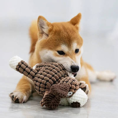 Immortal Squeaker Dog Toy - Tough Durable Plush for Aggressive Chewers