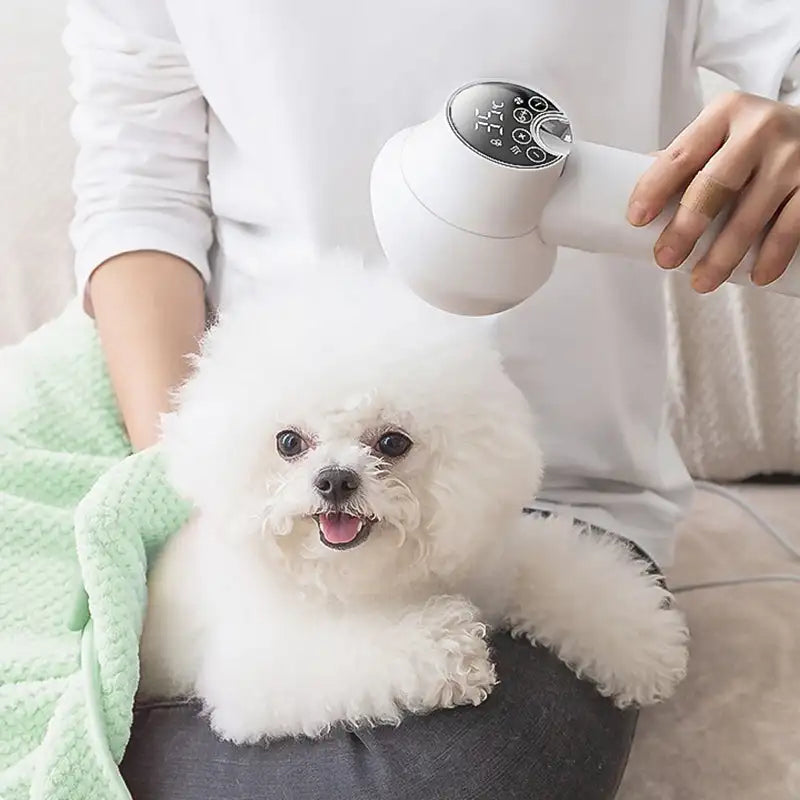 2-in-1 Smart Dog Hair Dryer & Brush – Low Noise Pet Grooming Dryer