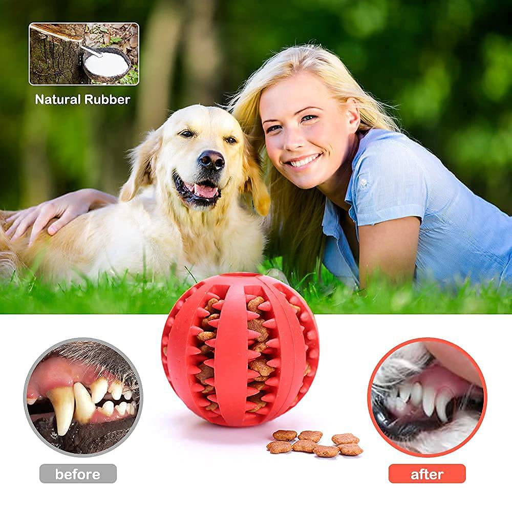 Pet Tooth Cleaning Treat Ball