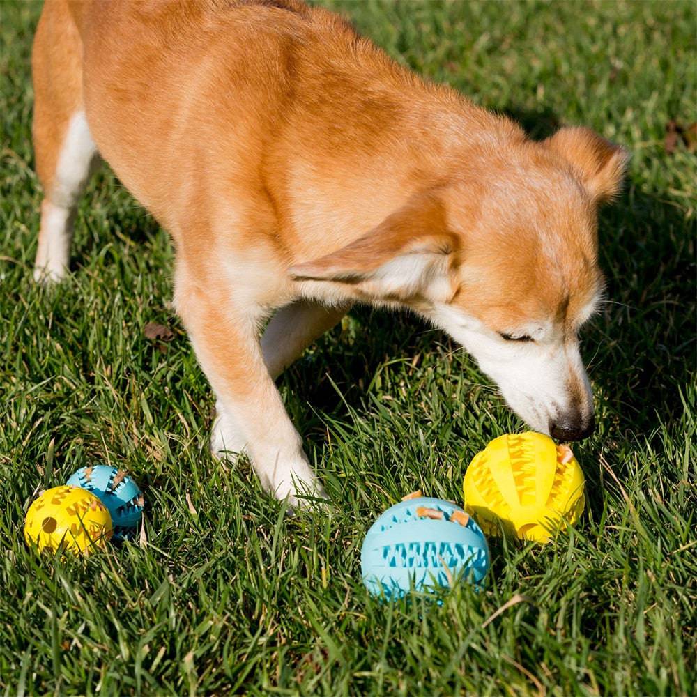 Pet Tooth Cleaning Treat Ball