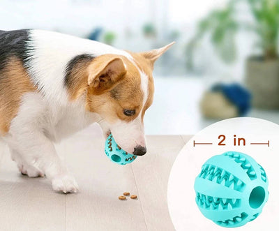 Pet Tooth Cleaning Treat Ball