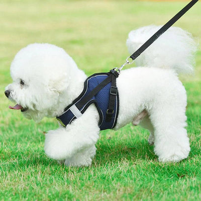 No Pull Dog Harness with Leash – Reflective & Breathable Adjustable Pet Harness for Dogs
