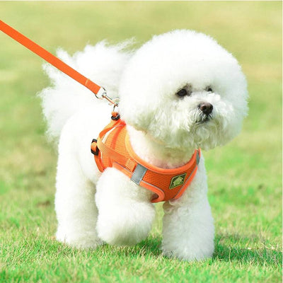 No Pull Dog Harness with Leash – Reflective & Breathable Adjustable Pet Harness for Dogs