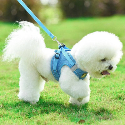 No Pull Dog Harness with Leash – Reflective & Breathable Adjustable Pet Harness for Dogs