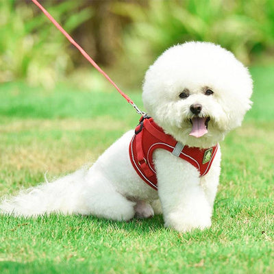 No Pull Dog Harness with Leash – Reflective & Breathable Adjustable Pet Harness for Dogs