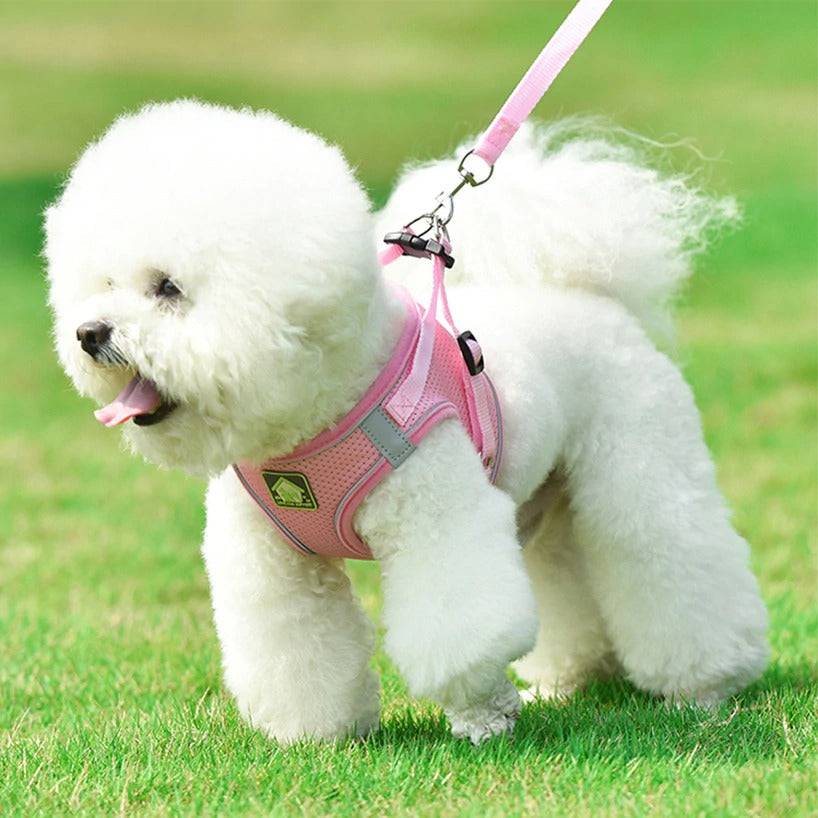 No Pull Dog Harness with Leash – Reflective & Breathable Adjustable Pet Harness for Dogs
