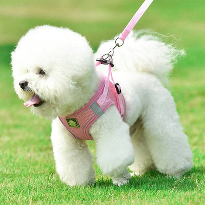 No Pull Dog Harness with Leash – Reflective & Breathable Adjustable Pet Harness for Dogs