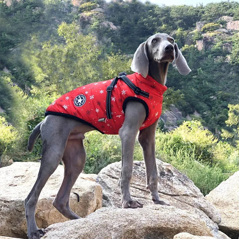 RainGuard - 3 in 1 Dog Jacket