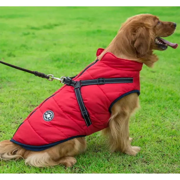 RainGuard - 3 in 1 Dog Jacket