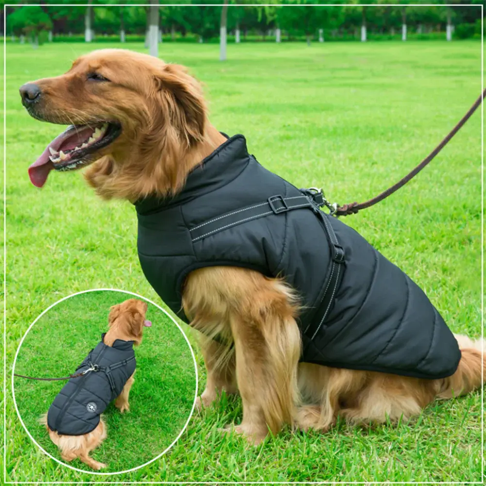 RainGuard - 3 in 1 Dog Jacket