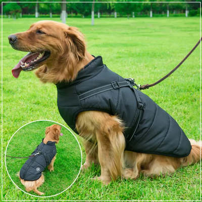 RainGuard - 3 in 1 Dog Jacket