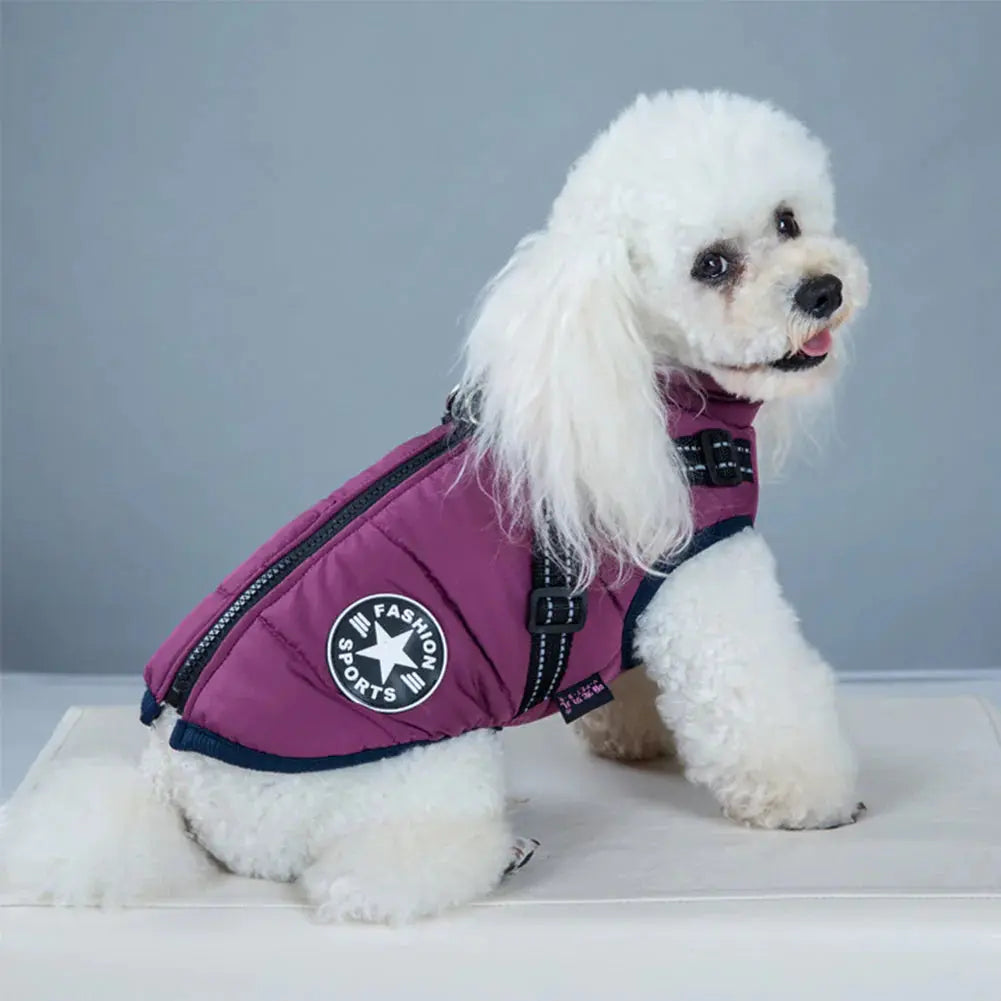 RainGuard - 3 in 1 Dog Jacket