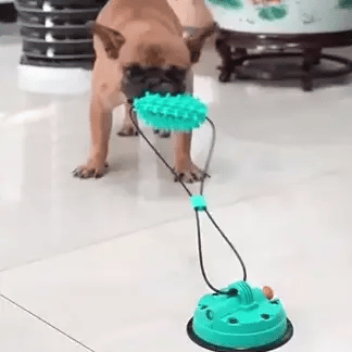Playbrush Suction Cup Dog Chew Toy - Teeth Cleaning Interactive Tugger