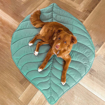 Leaf Shape Dog Blanket Mat