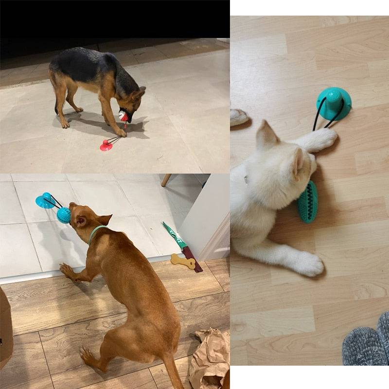 Playbrush Suction Cup Dog Chew Toy - Teeth Cleaning Interactive Tugger