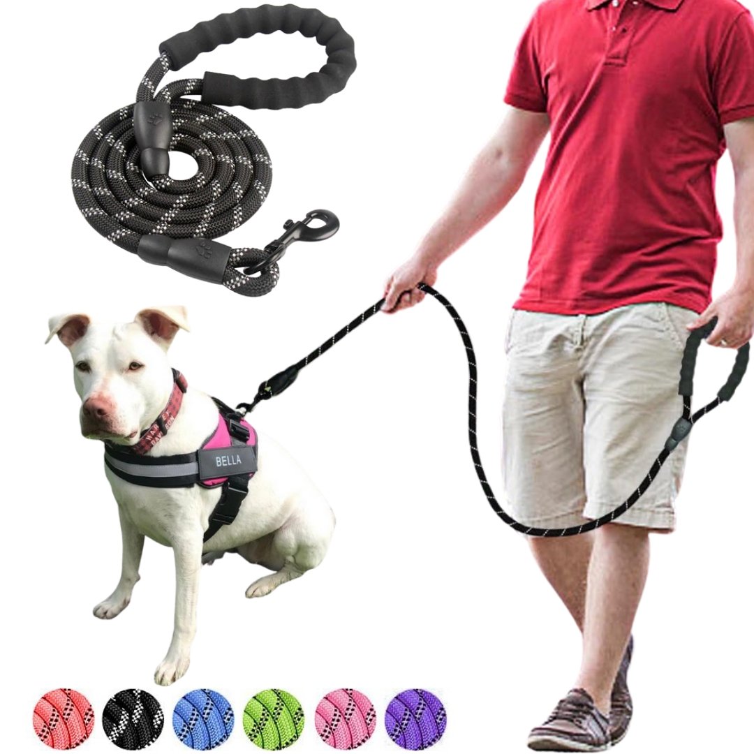 Reflective Dog Leash