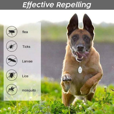 Portable USB Ultrasonic Pest Repeller - Personal Tick & Mosquito Keychain for Pets & Hiking